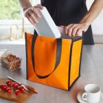 Bolsa-Termica-6-Litros-17309d5-1697541977