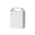 Embalagem-Maleta-P-14534-1655842695