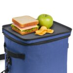 Bolsa-Termica-15-Litros-23159d5-1755031997