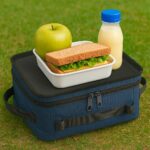 Bolsa-Termica-5-Litros-23014d5-1755032035