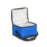 Bolsa-Termica-8-Litros-19890d2-1724341726
