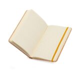 Caderneta-Couche-20946d1-1727715404