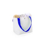 Bolsa-de-Lona-21326d2-1732279772