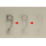 Tapete-Medio-20662d3-1728043869