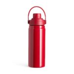 Garrafa-Termica-600ml-24429d2-1756392868