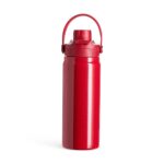 Garrafa-Termica-600ml-24429d3-1756392868